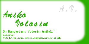 aniko volosin business card